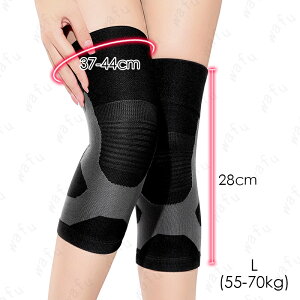 z212# GT|[^[ {  2Zbg ~ jp ۉ h G ی H ~  G 傫TCY