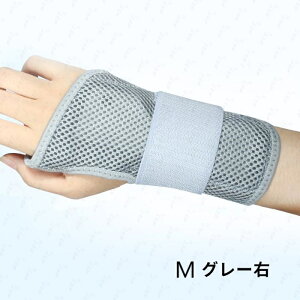 z58#T|[^[ { Œ ی P ewT|[^[ F≊ ʋC XgK[h 玙 ؃g Ǝ ×p ֐߉ ֐ߒ p Ep