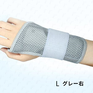 z58#T|[^[ { Œ ی P ewT|[^[ F≊ ʋC XgK[h 玙 ؃g Ǝ ×p ֐߉ ֐ߒ p Ep