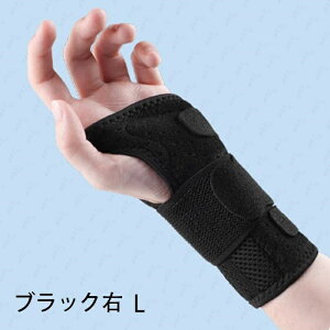 z58#T|[^[ { Œ ی P ewT|[^[ F≊ ʋC XgK[h 玙 ؃g Ǝ ×p ֐߉ ֐ߒ p Ep