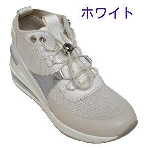 C fB[X JWAV[Y MK MICHEL KLEIN GP[ ~bVFN 432 K戵X Xb| Xj[J[ SR GA[\[ GA[NbV ɂ h  Ղ