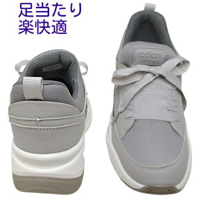  Xb| fBAg radiant 4555 [X EGbW\[NbV\[ y ₷ ~ZX̃JWAV[Y헚  o s C I[V[Y