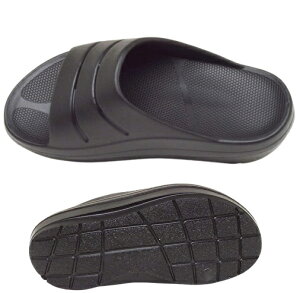 󂠂艿i i C ꃊJo[T_ T{ T_ 51530r[`T_r[` AEghA GOK Ռz y _ e͐T|[g EVA T_ V