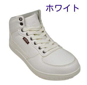 C hXj[J[  h GhEB EDWIN 7674 fB[X Z~Jbg R[g^CvSV J̓  JWAXj[J[ ₷ ۂ Ld ^E wZ ʊw ItBX Xj[