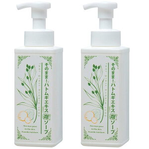 ̂܂! ngMGLXzA\[v 500ml ×2Zbg