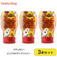 ナチュロニーピュアカナディアンハニー 375g 3個