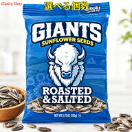 Giants Sunflower Seeds ジャイアンツ サンフラワーシード ひまわりの種 オリジナル 塩味 163g
