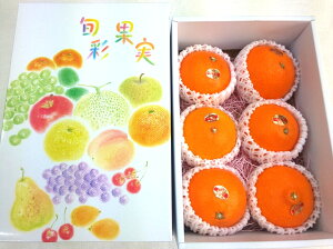 QY g܂ǂ64LTCY lC t[c 蕨 Ε k ݂ ʕ Â p { Mtg v[g 