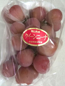 岡山県産クイーンニーナ 1房 甘いぶどう 人気フルーツ 果物 お供え 自宅用 クール便 旬 手土産 贈答用 プレゼント お祝い お中元