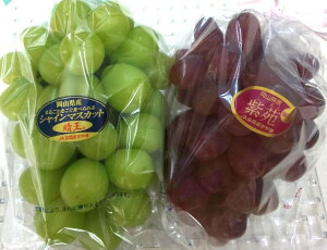 RYԂǂlߍ킹 VC}XJbg1[  1[ p Ȃ { lCt[c v[g p