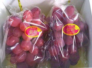 RY ȂԂǂ 2[ Â t[c p yY ʕ 蕨  v[g Mtg