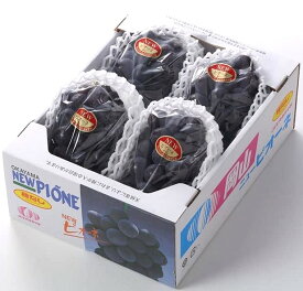 岡山県産 NEWピオーネ ぶどう フルーツ ギフト 贈り物 旬 プレゼント 種なし お中元 お供え 自宅用 贈答用
