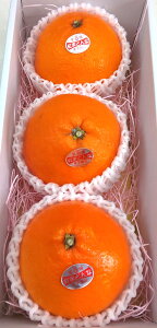 QY g܂ǂ 4LTCY 3 ݂ Mtg lC t[c Â ʕ i p v[g k j   蕨 Ε