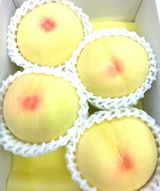 岡山県産白桃4個入り 甘い 果物 人気 フルーツ ギフト 旬 お供え 自宅用 プレゼント 贈答用 クール便 お中元 贈り物