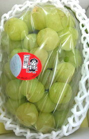 岡山県産桃太郎ぶどう1房1kg 大粒 人気フルーツ 自宅用 贈答用 果物 甘い 種なし プレゼント お祝い ギフト 贈り物