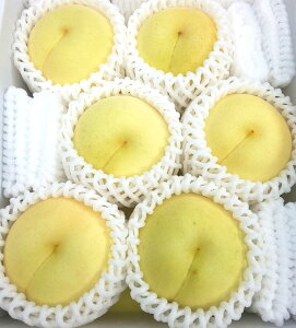 RY ~ C 6 ʕ Mtg Ε v[g p t[c  p { Â