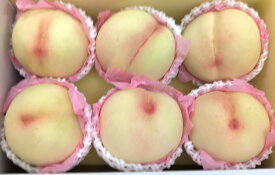 岡山県産白桃6個入り 果物 ギフト 贈り物 お中元 贈答品 甘い フルーツ 自宅用 お供え プレゼント クール便 人気 旬