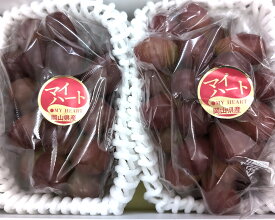 岡山県産 マイハート2房 ぶどう ギフト 果物 種なし 自宅用 プレゼント 贈り物 甘い 種なし