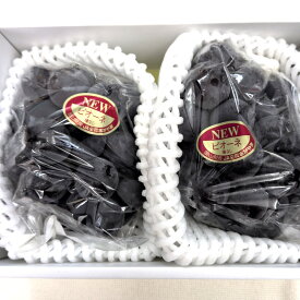 岡山県産ニューピオーネ2房