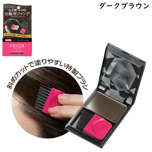 ������ PRIOR �v���I�[�� �w�A �t�@���f�[�V���� �S3�F �w�A�J���[ (�є����F��) �����p�t�@���f�[�V���� / �����J�o�[ / ���������p ���[���֔��� �� �|�X�g�ւ��͂�