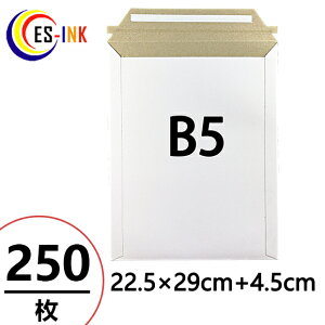 【EMS-B5】厚紙封筒 ビジネスレターケース B5対応 250枚入 (高29CM 幅22.5CM) コートボール 約300g/ 宅配袋 梱包 袋 梱包用 業務用 ホワイト 郵便袋 ラッピング袋 国際郵便の封筒 包装資材 梱包材 宅