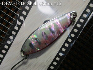�f�x���b�v �V�F��[�V���o�[�n] 10g /48mm�@#15 S.���b�h���}���@�@���t�B�[���h�n���^�[ FIELD HUNTER���@���l�C�e�B�u ���A�[�t�B�b�V���O�p �X�v�[�����@DEVELOP Shell Silver Spoon 10g�@[�X�v�[�����