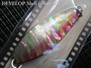 �f�x���b�v �V�F�� [�V���o�[�n] 22g /60mm�@#12 S���b�h�@�@���t�B�[���h�n���^�[ FIELD HUNTER���@���l�C�e�B�u ���A�[�t�B�b�V���O�p �X�v�[�����@DEVELOP Shell Silver Spoon 22g�@[�X�v�[�����ނ��