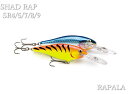 シャッドラップ SR6　～全20色　　＜ラパラ RAPALA＞　※お取寄せのため欠品の際は納期回答　Shad Rap SR6　＜ラパラルアーの最高傑作SR＞　[スプーン専門釣り具店] エスプーン
