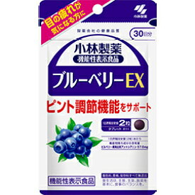 【機能性表示食品】小林製薬 ブルーベリーEX　60粒（30日分）