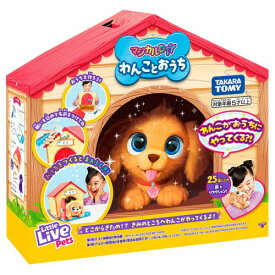 マジカルDIY わんことおうち≪種類選択不可≫ 犬 ぬいぐるみ かわいい ごっこ 家 組立て サプライズ 驚き プレゼント 誕生日 子ども ペット 不思議おもちゃ こども 子供 女の子 ままごと ごっこ 作る 5歳