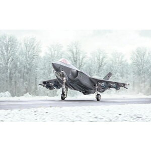 y11/14`16Ԍ! ΏۏiP20{!!zC^ 1^48 F-35A CgjOII r[Xg[h yIT2836z (vf)