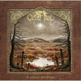 Olshanoe／Into the Wild 【CD】