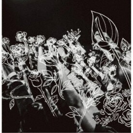 【次回使える2000円OFFクーポン配布中※条件あり】プッシュプルポット／願いの花束 【CD】