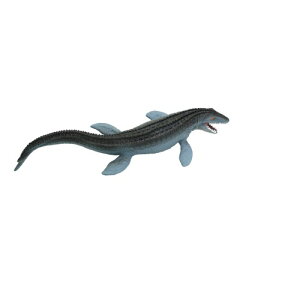 y12/6܂!! ő2000~OFFN[|!!z勰(TTEX) ǂ q 3