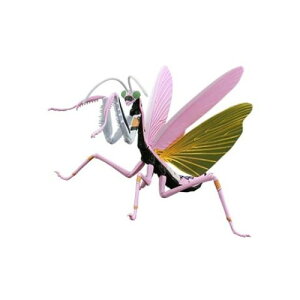 y11/30! ő1000~OFFN[|zRV[Y G@QI IIJ}L 8@dl yR232z (vf)