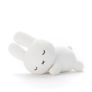 yҏ!!11/20g铖XN[|zu[i ₷tY ʂS () ǂ q ̎q ʂ ~btB[