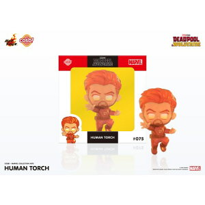 y11/30! ő1000~OFFN[|z}[xERNV wfbhv[E@x 075 q[}Eg[` y075z (~jtBMA)