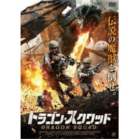 ドラゴン・スクワッド 【DVD】