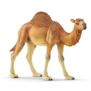 y11/25! ő1000~OFFN[|zVCq qgRuN_ ǂ q j̎q 3