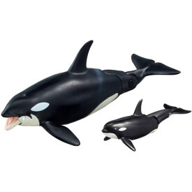 アニア AL-08 シャチ親子(水に浮くVer.)おもちゃ こども 子供 男の子 3歳