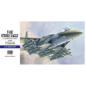1�^72 F-15E �X�g���C�N �C�[�O�� �yE10�z (�v�����f��)