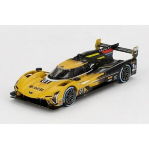 y11/1! őP6{ & ő2000~OFFN[|!!zMINI-GT 1^64 LfbN VV[Y. R IMSAZuO12 2024 01 LfbNE[VO yMGT01004-Lz (~jJ[)