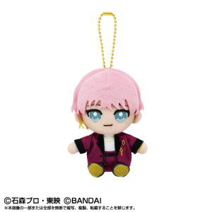 【11/1限定! 最大P6倍 & 最大2000円OFFクーポン!!】Chibiぬいおすわりマスコット ライドカメンズ 颯おもちゃ こども 子供 女の子 ぬいぐるみ その他仮面ライダー