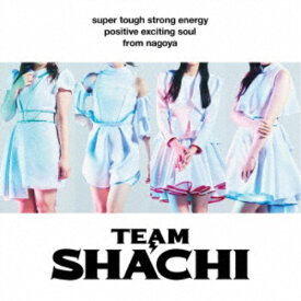 TEAM SHACHI／TEAM SHACHI《positive exciting soul盤(通常盤B)》 【CD】