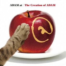 ADAM at／The Creation of ADAM 【CD】