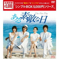 楽天市場】ある素敵な日 dvd seventeenの通販 