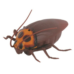 y11/25! ő1000~OFFN[|zIRC ԊOœI ~jSLu (WR)