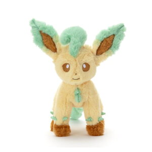 |P I ʂS [tBA ǂ q ̎q ʂ 6