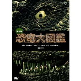 決定版！恐竜大図鑑 DVD-BOX 【DVD】