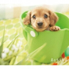 (クラシック)／ライフスタイルクラシック 元気！！クラシック (初回限定) 【CD】